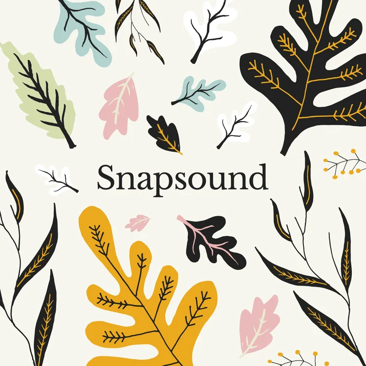 Snap Sound